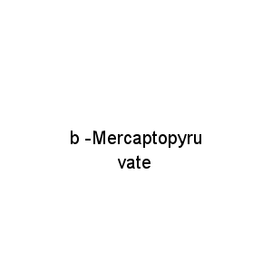 b -Mercaptopyruvate